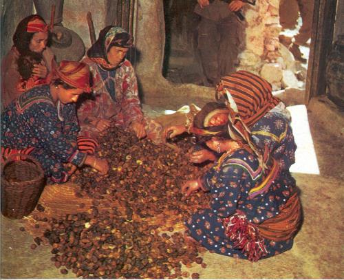 femmes kabyles